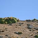 Peru 0897